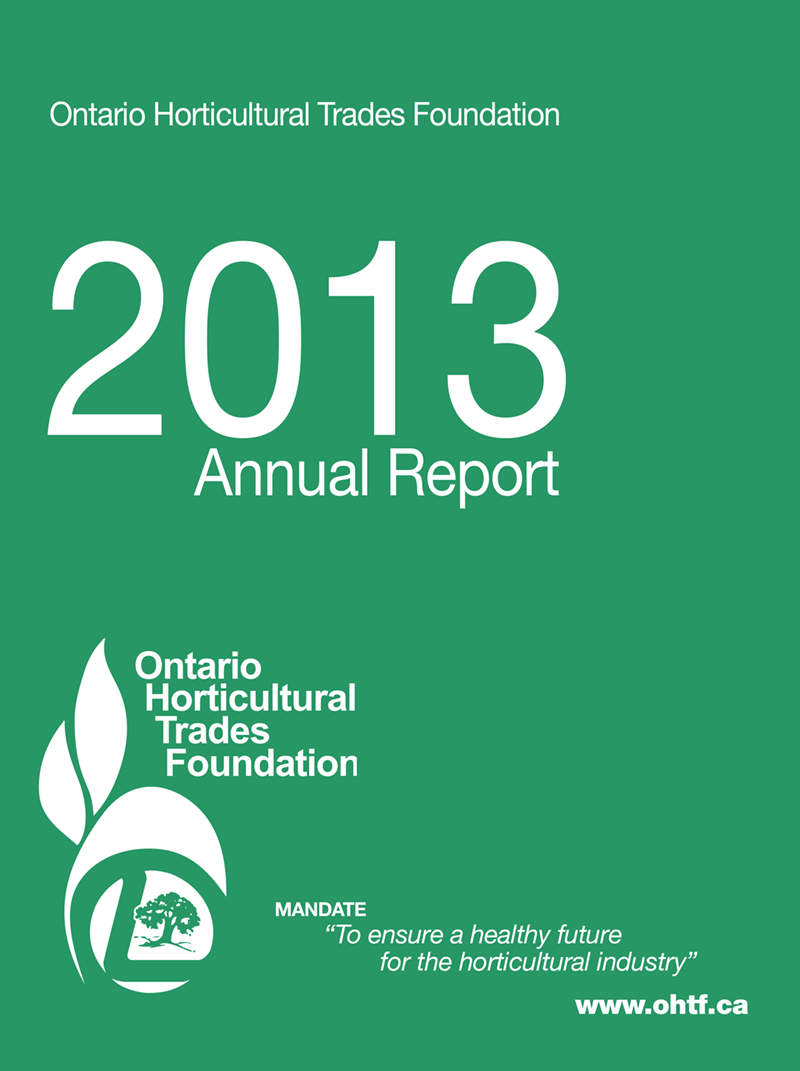 2013 foundation report cover