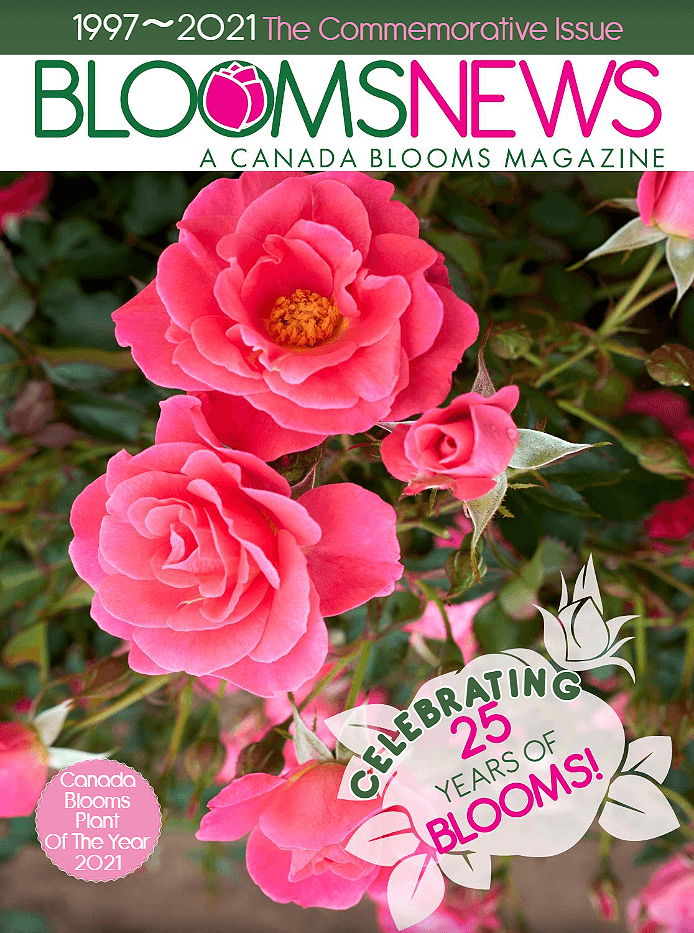 canada blooms magazine cover