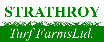 strathroy turf farms ltd